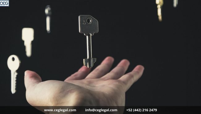 Imagenes para blog ceg legal (25) (1)